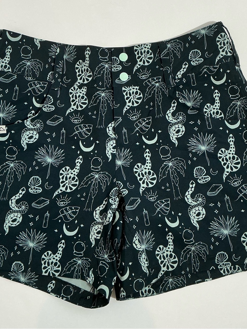 Rye Black Athletic Shorts with Mint Print